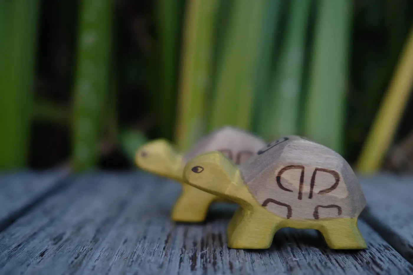 HolzWald Schildkröte klein