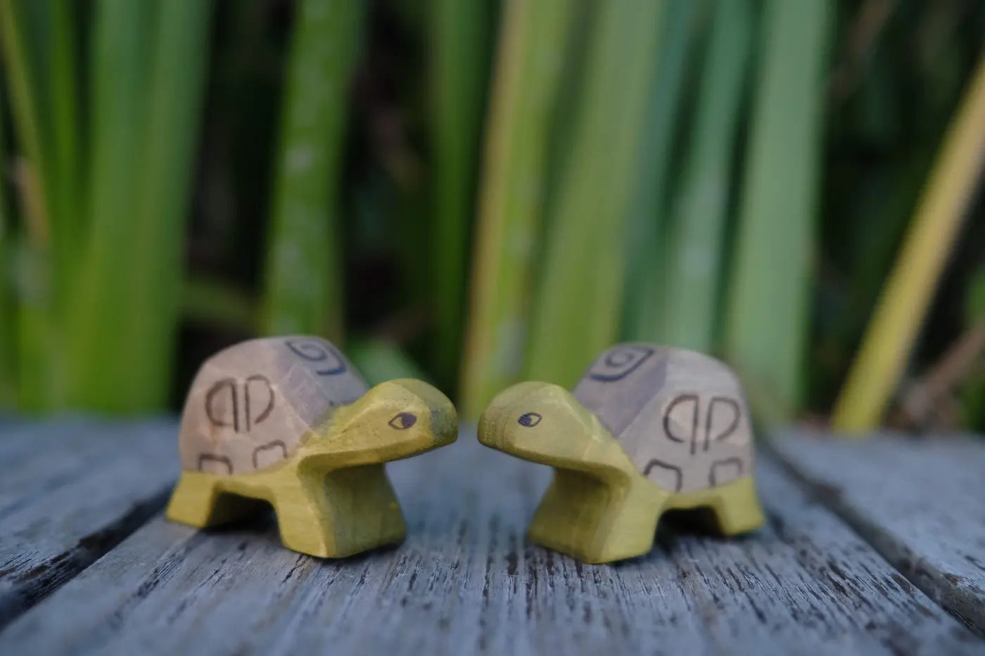 HolzWald Schildkröte klein