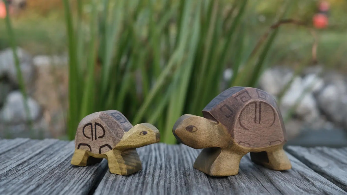 Holzfigur Schildkröte klein von HolzWald, Foto