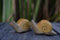 Holzfigur Schnecke klein von HolzWald