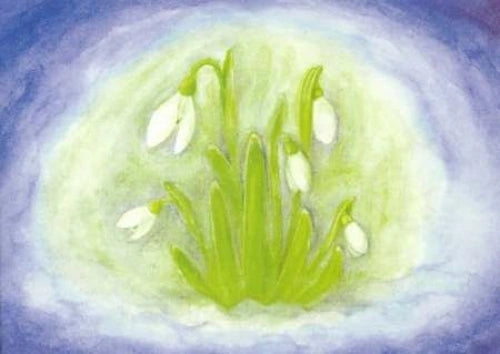 Februar, Schneeglöckchen