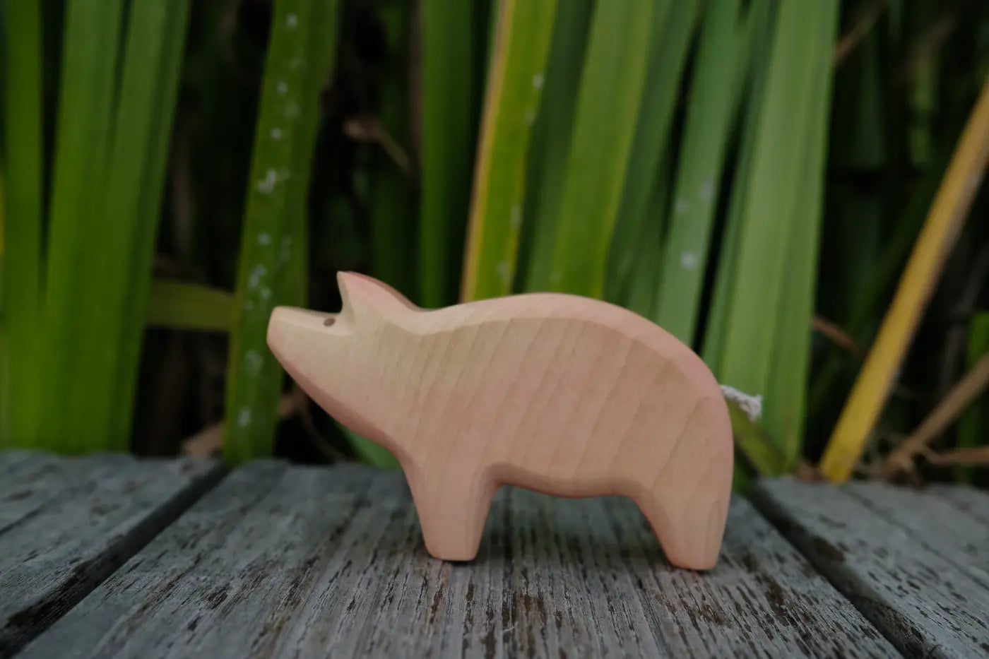 HolzWald Schwein