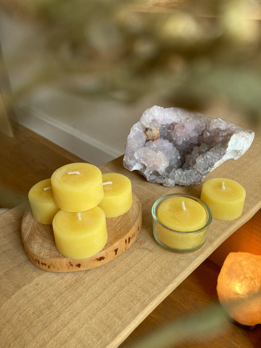 6  Bienenwachs Teelichte + Glas