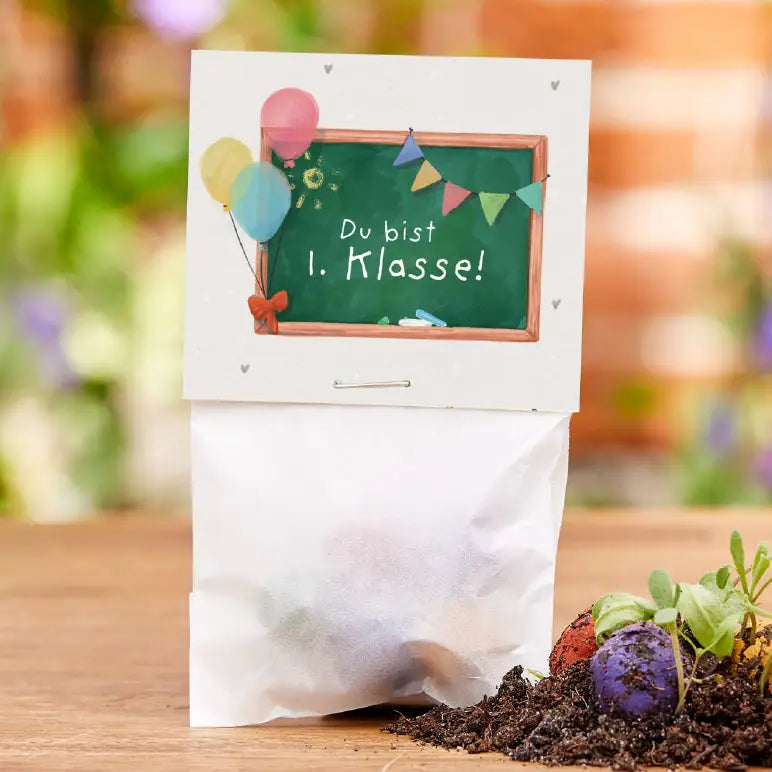 5er Blumenmurmeln im Pergaminbeutel - "Du bist 1. Klasse"- Einschulung