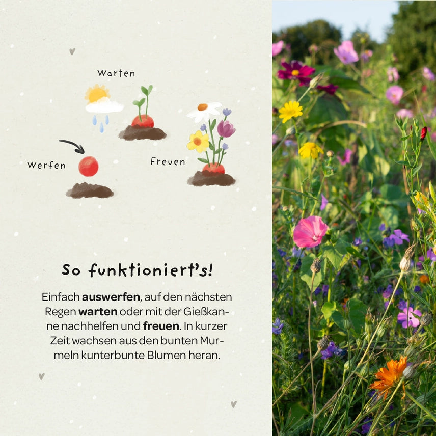 5er Blumenmurmeln im Pergaminbeutel - "Du bist 1. Klasse"- Einschulung