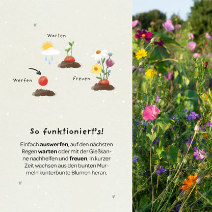 5er Blumenmurmeln im Pergaminbeutel - "Du bist 1. Klasse"- Einschulung