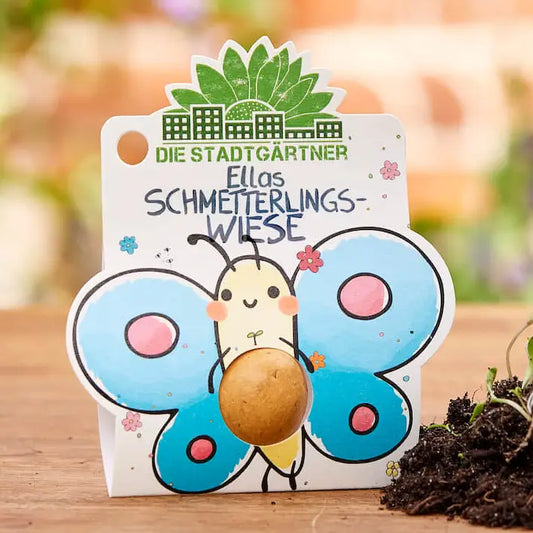 1er Blumenmurmel 'Ellas Schmetterlingswiese'