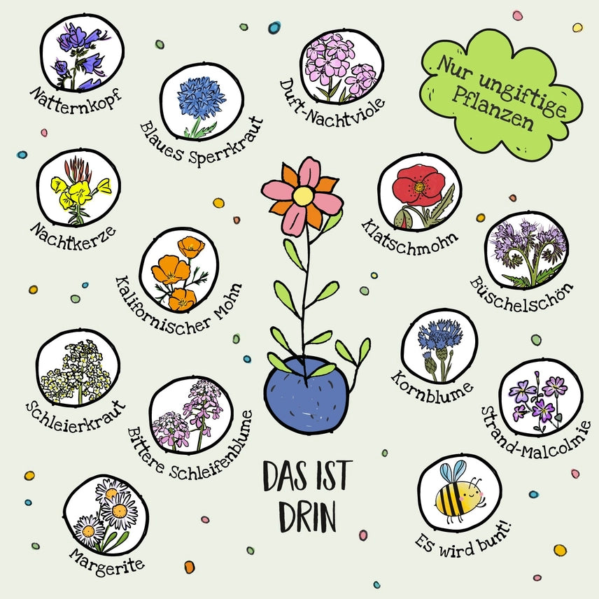 5er Blumenmurmeln im Pergaminbeutel - "Waldfreunde"