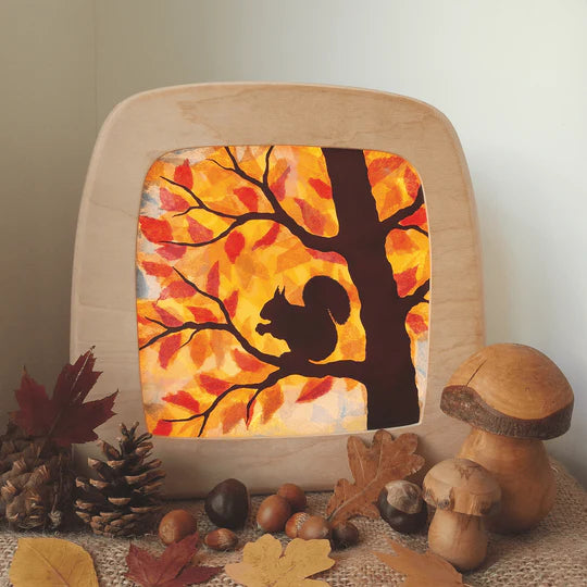 Toverlux DIY Transparent Eichhörnchen von Vogel Geluk: leuchtende Lampe mit Kastanien, Zapfen und Holzpilzen
