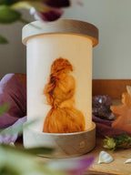 Toverlux Laterne mit Lichtkarte: leuchtende Laterne mit gefilzter Figur mit langem Haar