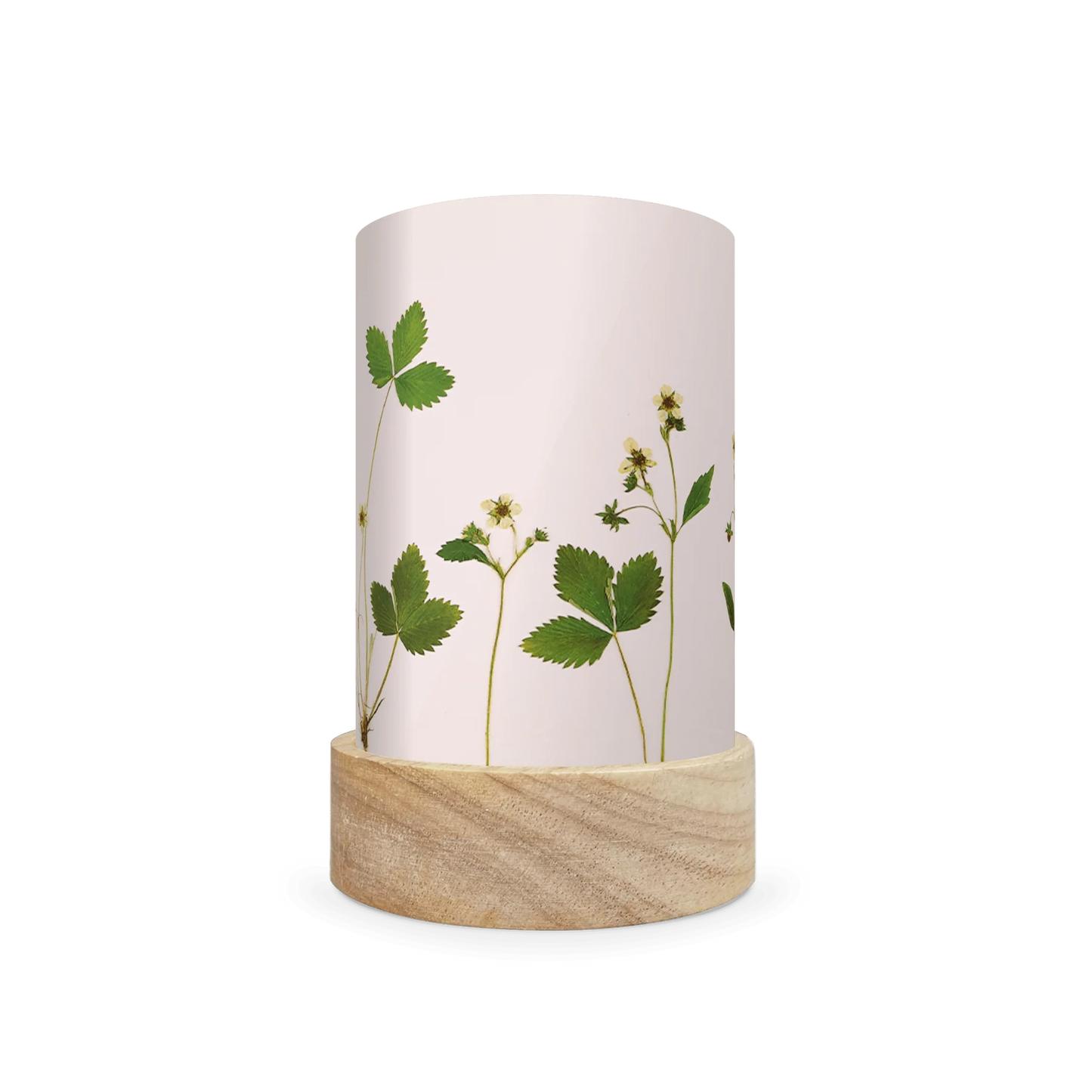 Lichtkarten Set - Beth Kendall - Gepresste Gartenblüten