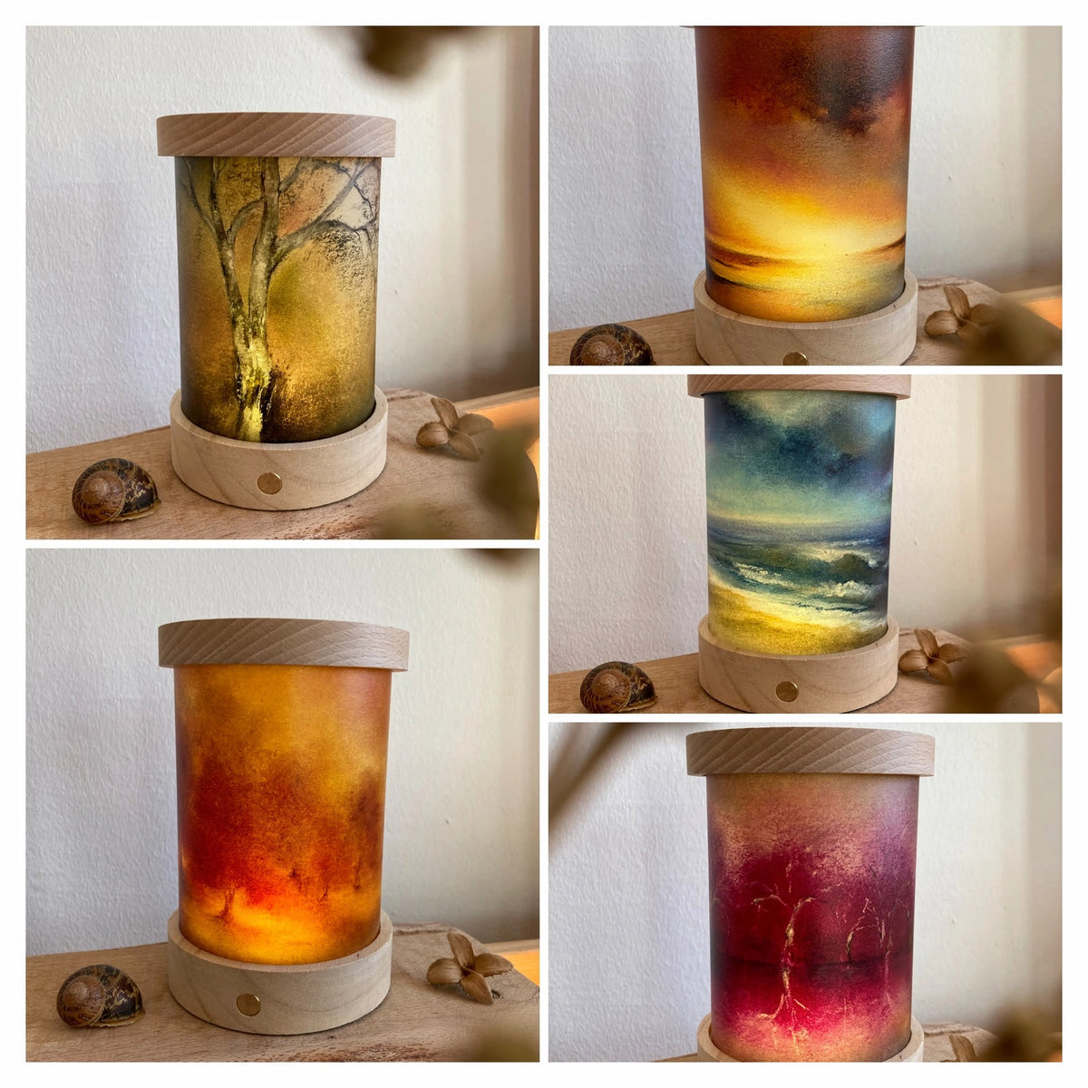Toverlux Lichtkarten Naturgeschichten von Baukje Exler: Collage mit den Lichtkarten in der leuchtenden Laterne