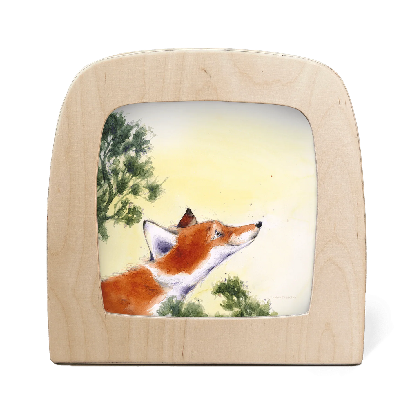 Motiv Hrókur - Fuchs