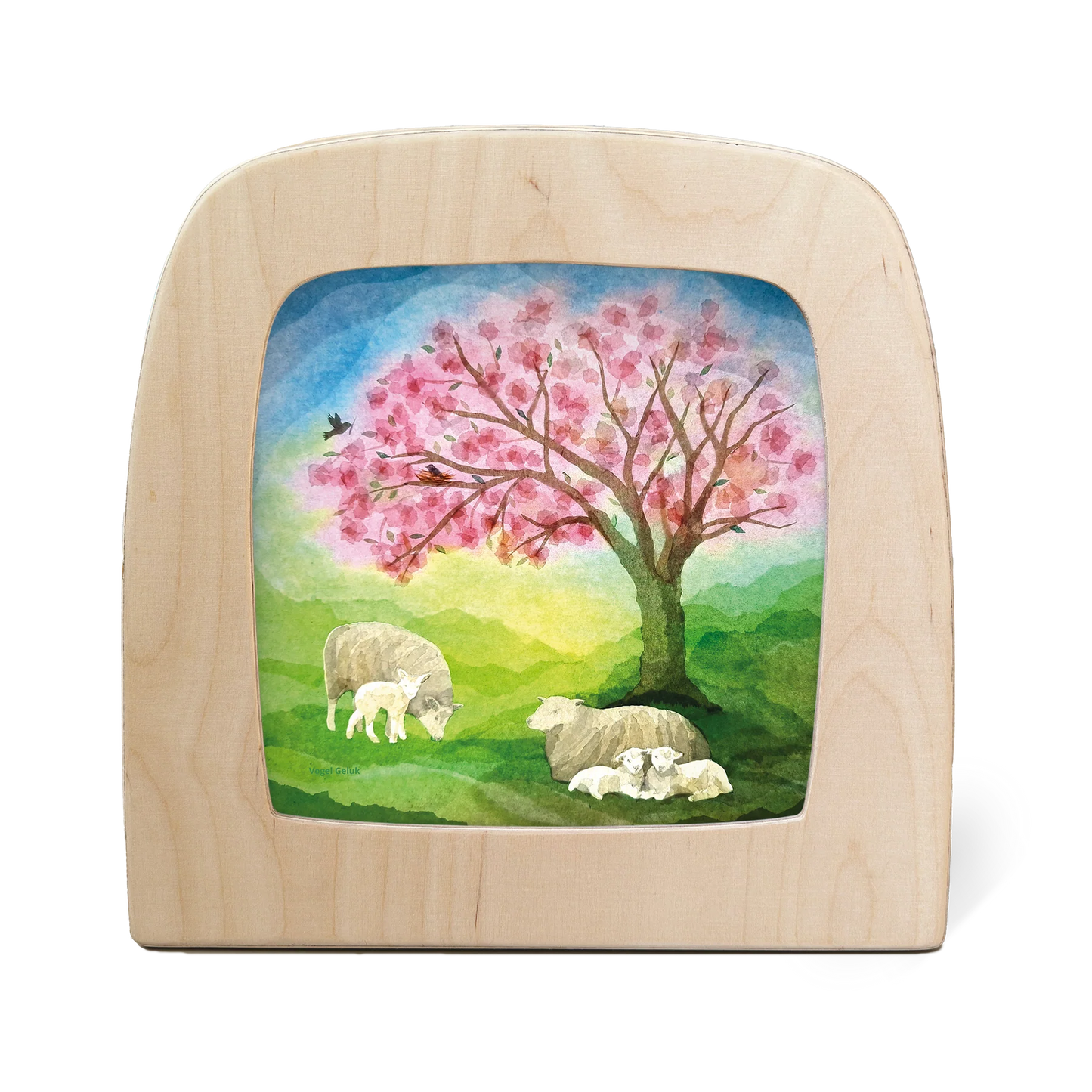 Motiv Kleine Lämmer