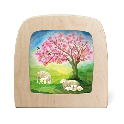 Motiv Kleine Lämmer