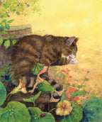 Kinderbuch Giesbert in der Regentonne von Daniela Drescher