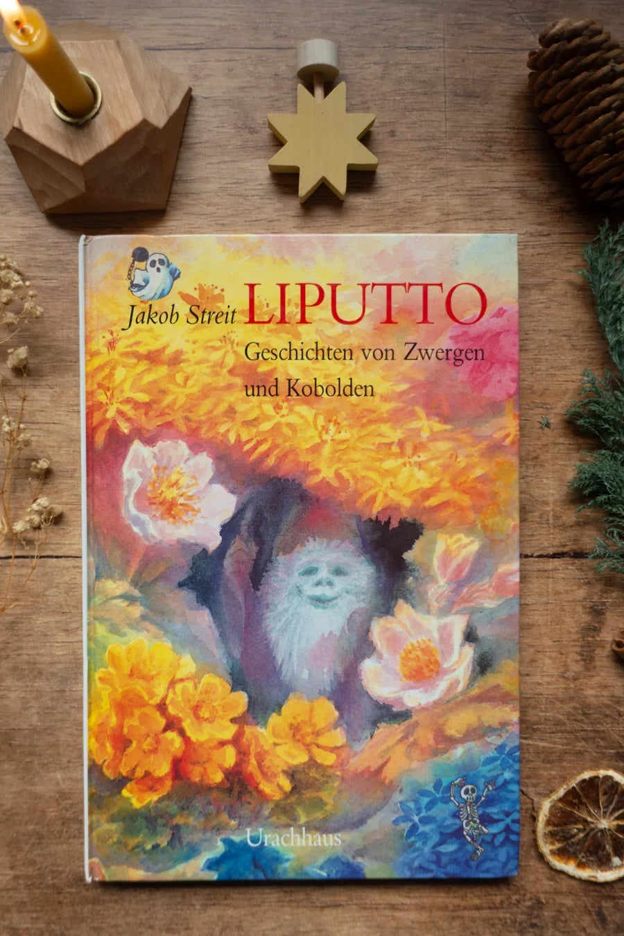 Kinderbuch Liputto von Jakob Streit, Cover