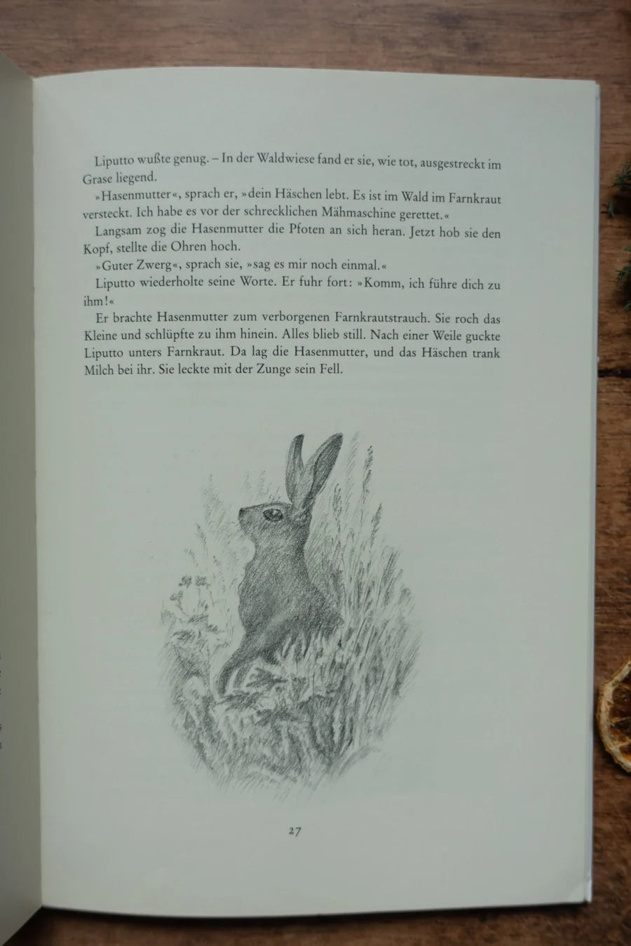 Kinderbuch Liputto, Blick ins Buch