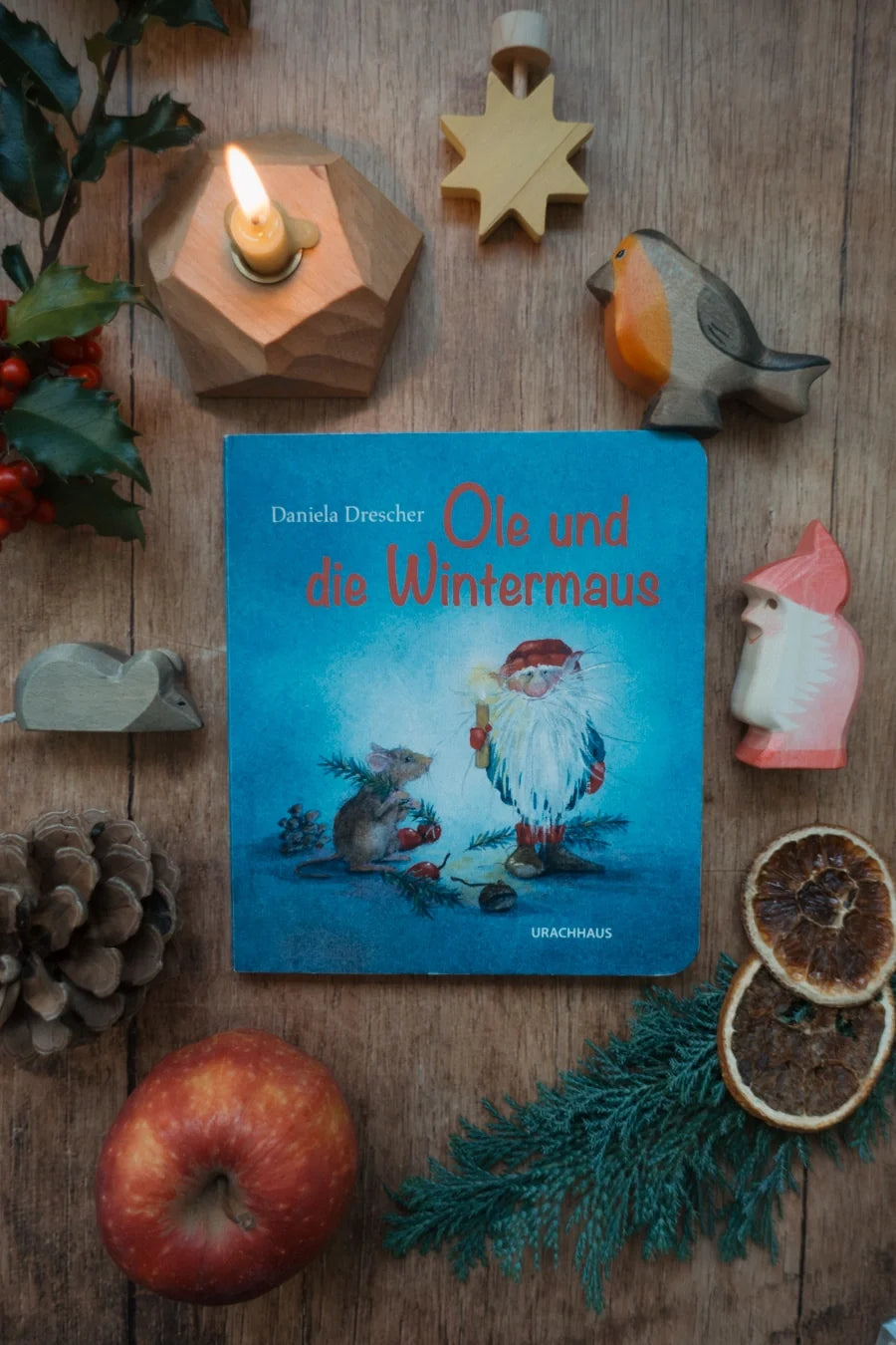 Pappbilderbuch Ole und die Wintermaus von Daniela Drescher, Cover