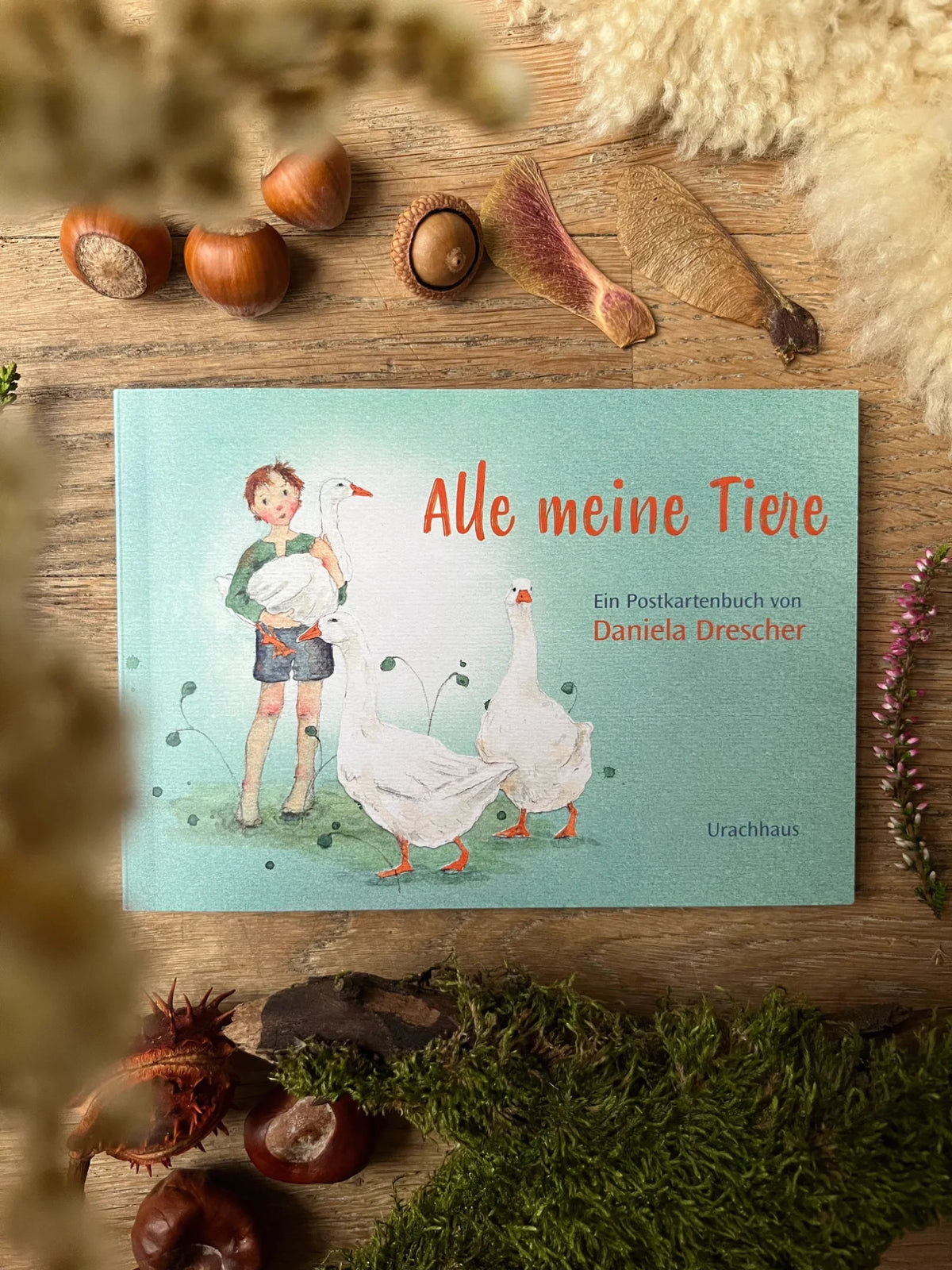 Postkartenbuch Alle meine Tiere von Daniela Drescher, Titelbild