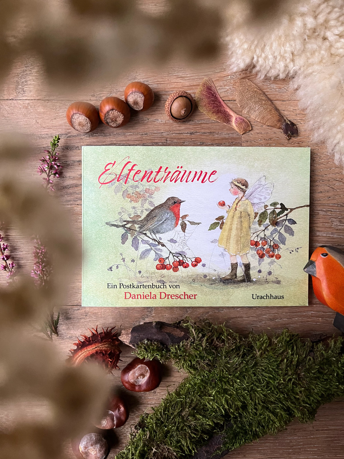 Postkartenbuch Elfenträume von Daniela Drescher, Titelbild