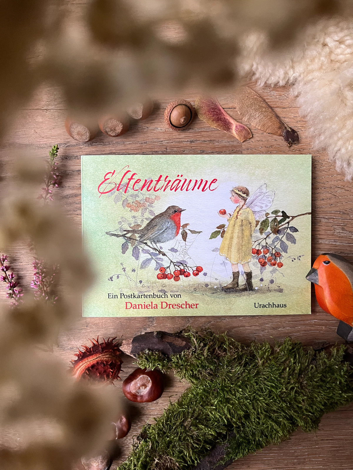 Postkartenbuch Elfenträume von Daniela Drescher, Kartenmotiv