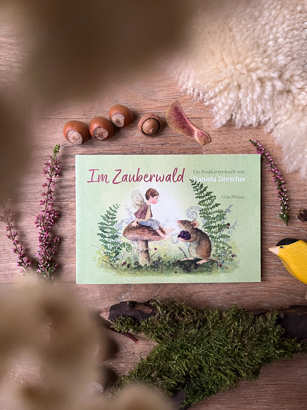 Postkartenbuch Im Zauberwald von Daniela Drescher, Kartenmotiv