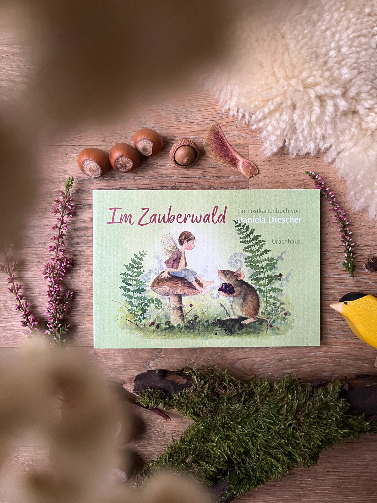 Postkartenbuch Im Zauberwald von Daniela Drescher, Kartenmotiv