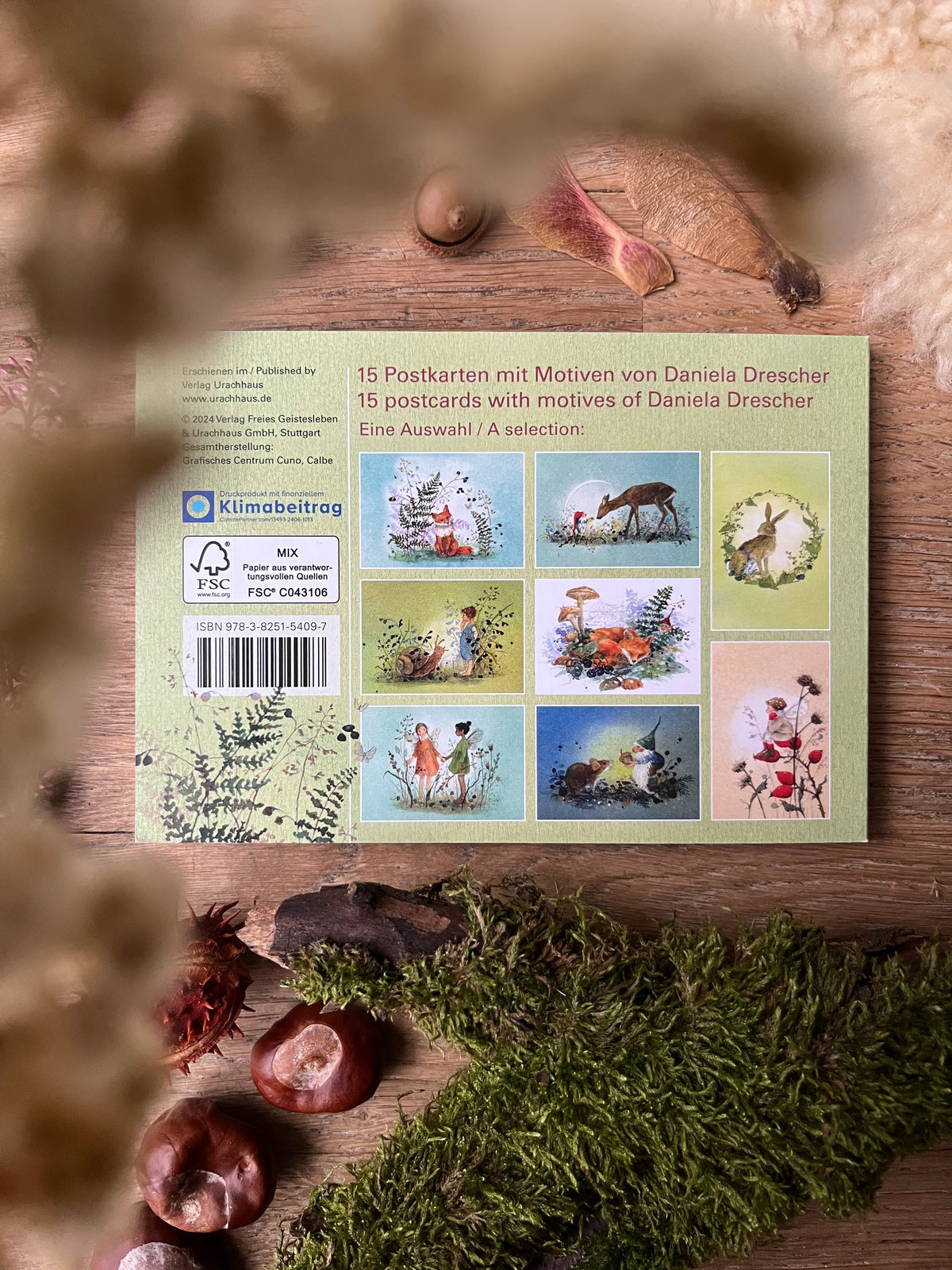 Postkartenbuch Im Zauberwald von Daniela Drescher, Kartenmotiv