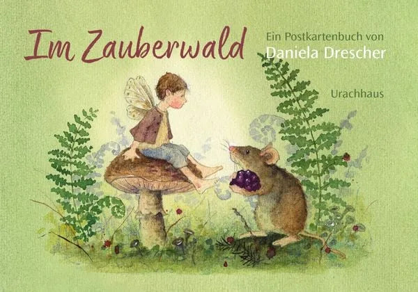 Postkartenbuch Im Zauberwald von Daniela Drescher, Kartenmotiv