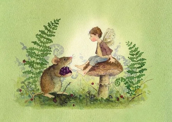 Postkartenbuch Im Zauberwald von Daniela Drescher, Kartenmotiv