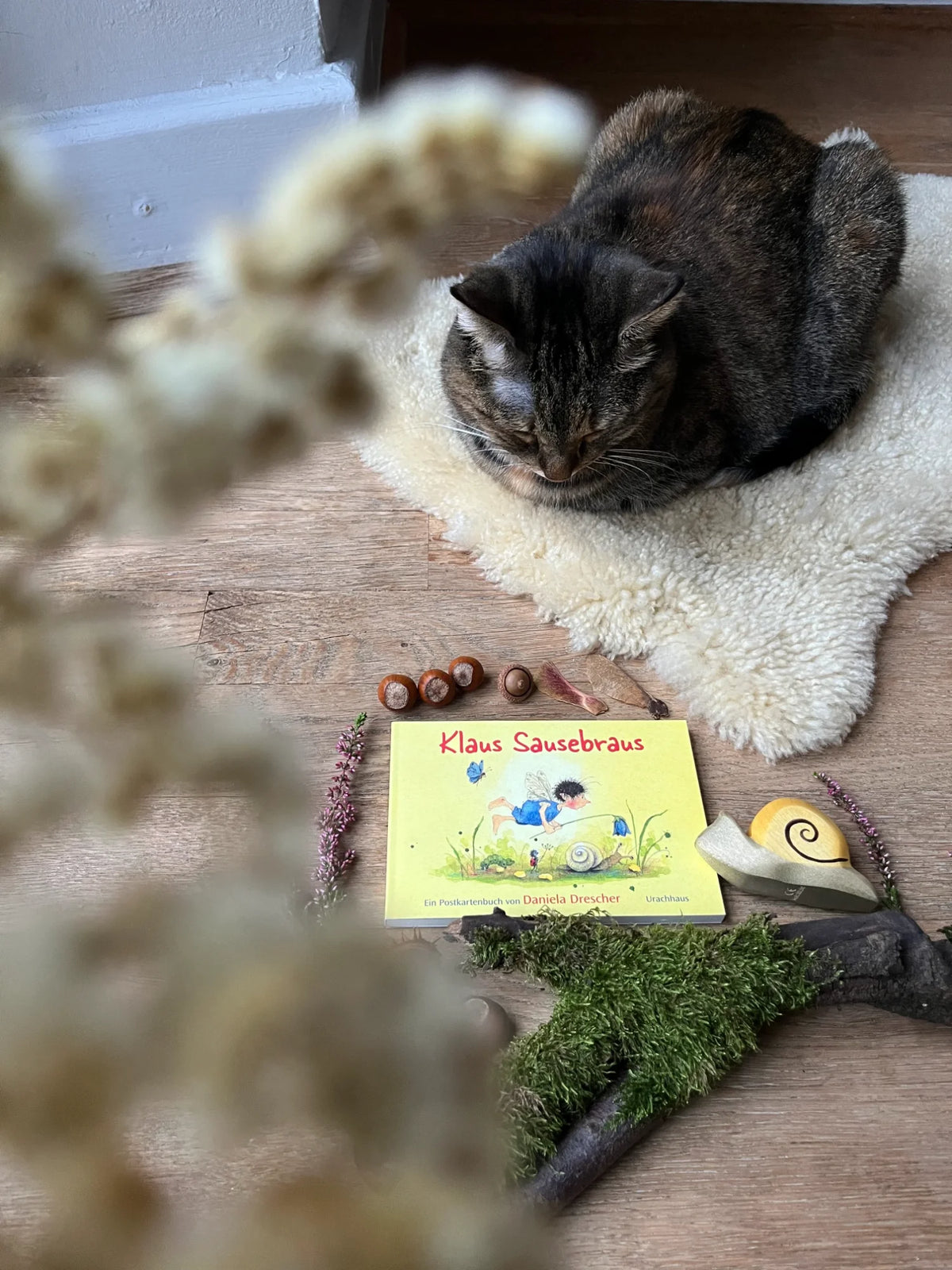 Postkartenbuch Klaus Sausebraus von Daniela Drescher, Kartenmotiv
