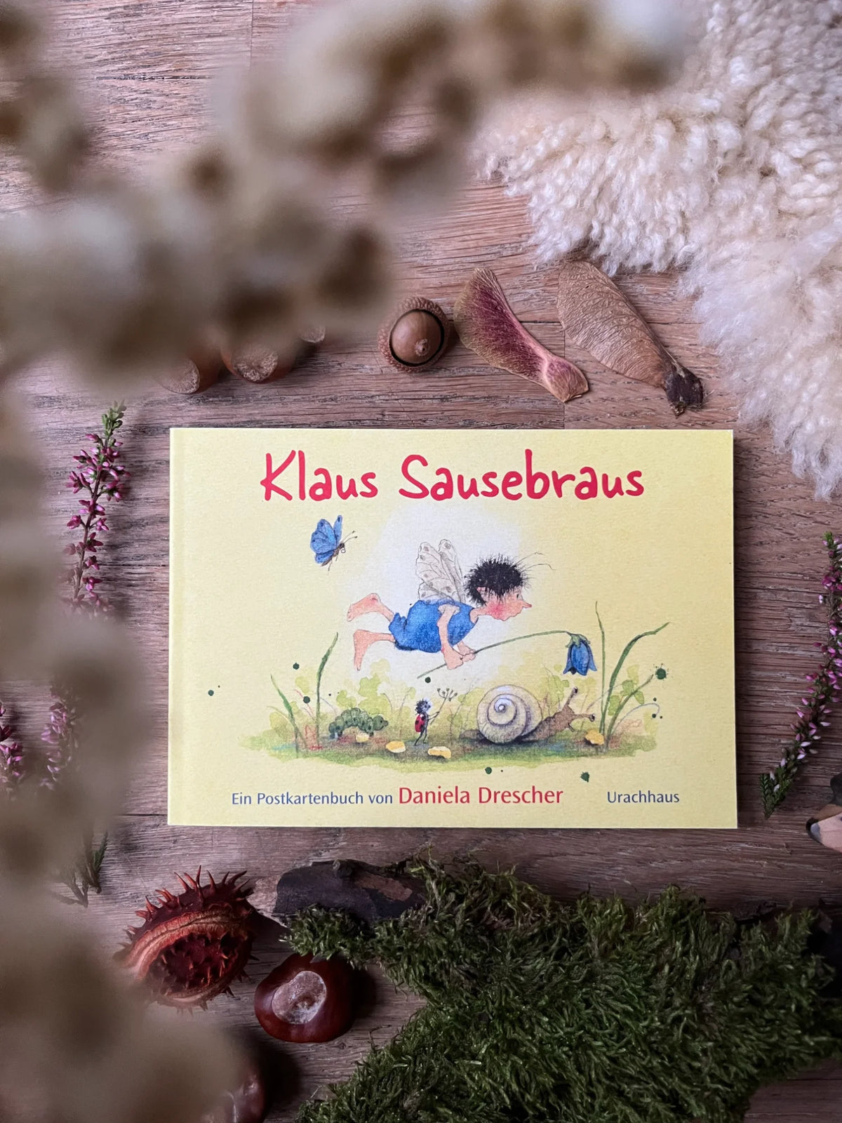 Postkartenbuch Klaus Sausebraus von Daniela Drescher, Kartenmotiv