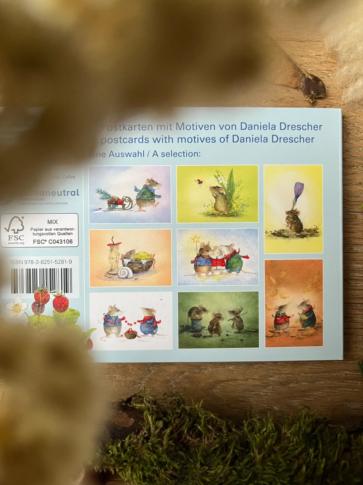 Postkartenbuch Mäusepost von Daniela Drescher, Kartenmotiv
