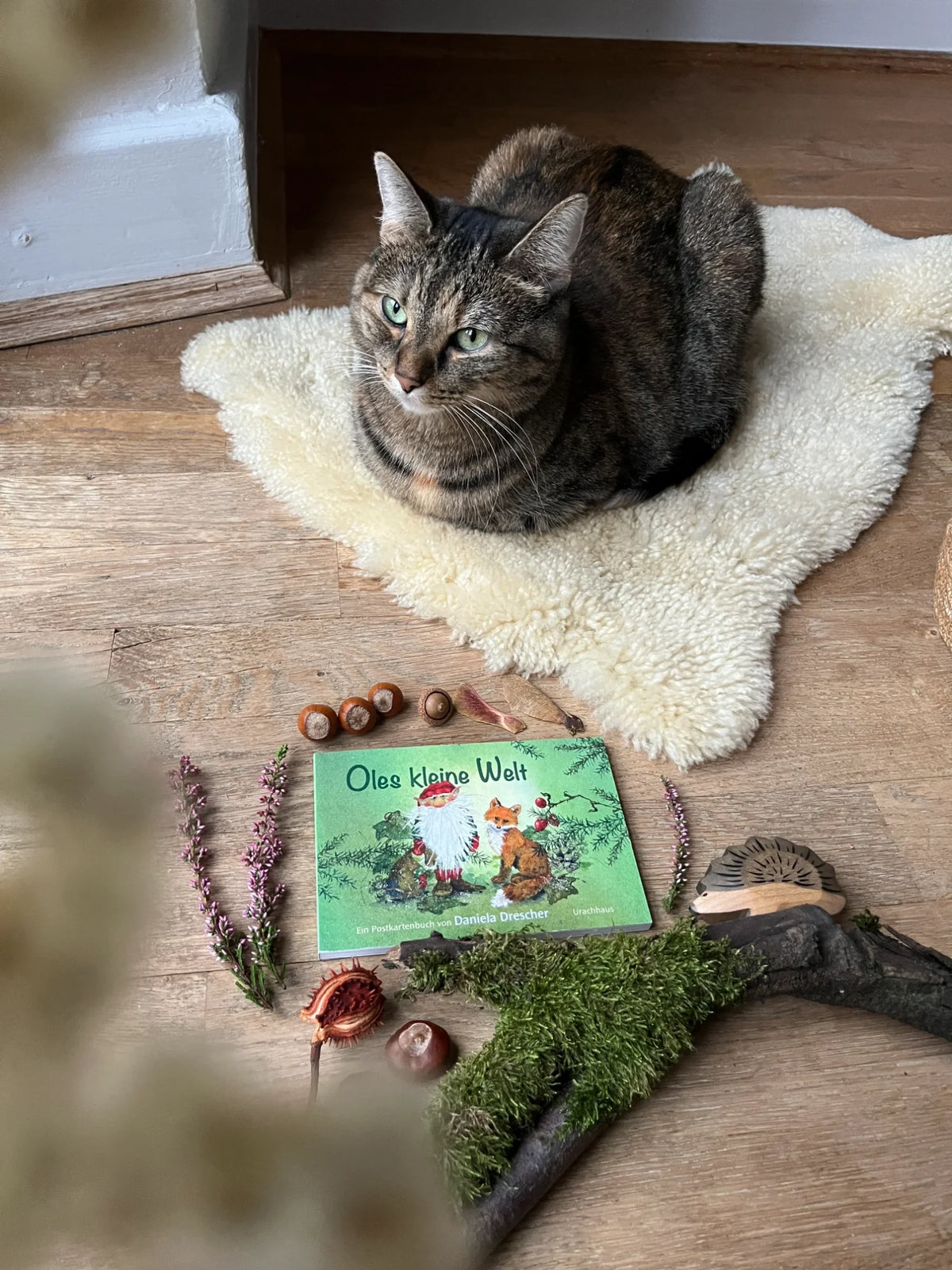 Postkartenbuch Oles kleine Welt von Daniela Drescher, Kartenmotiv