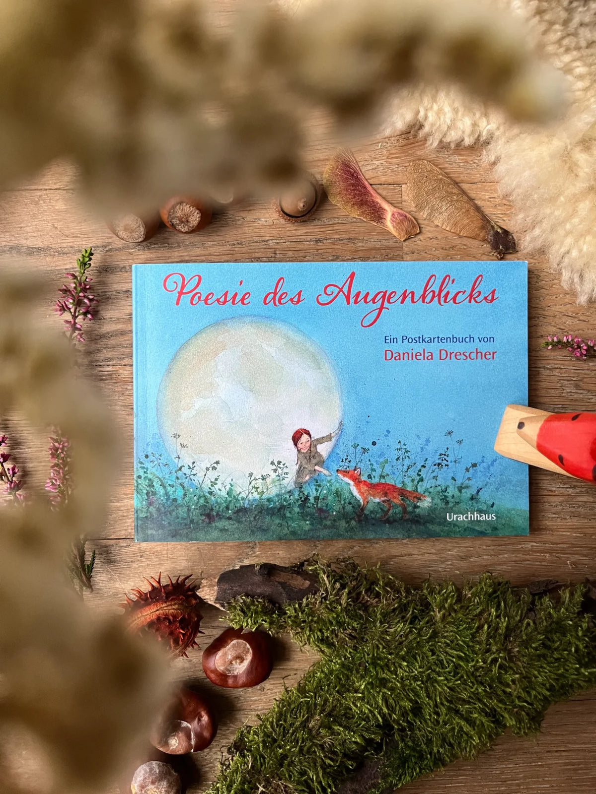 Postkartenbuch Poesie des Augenblicks von Daniela Drescher, Titelbild