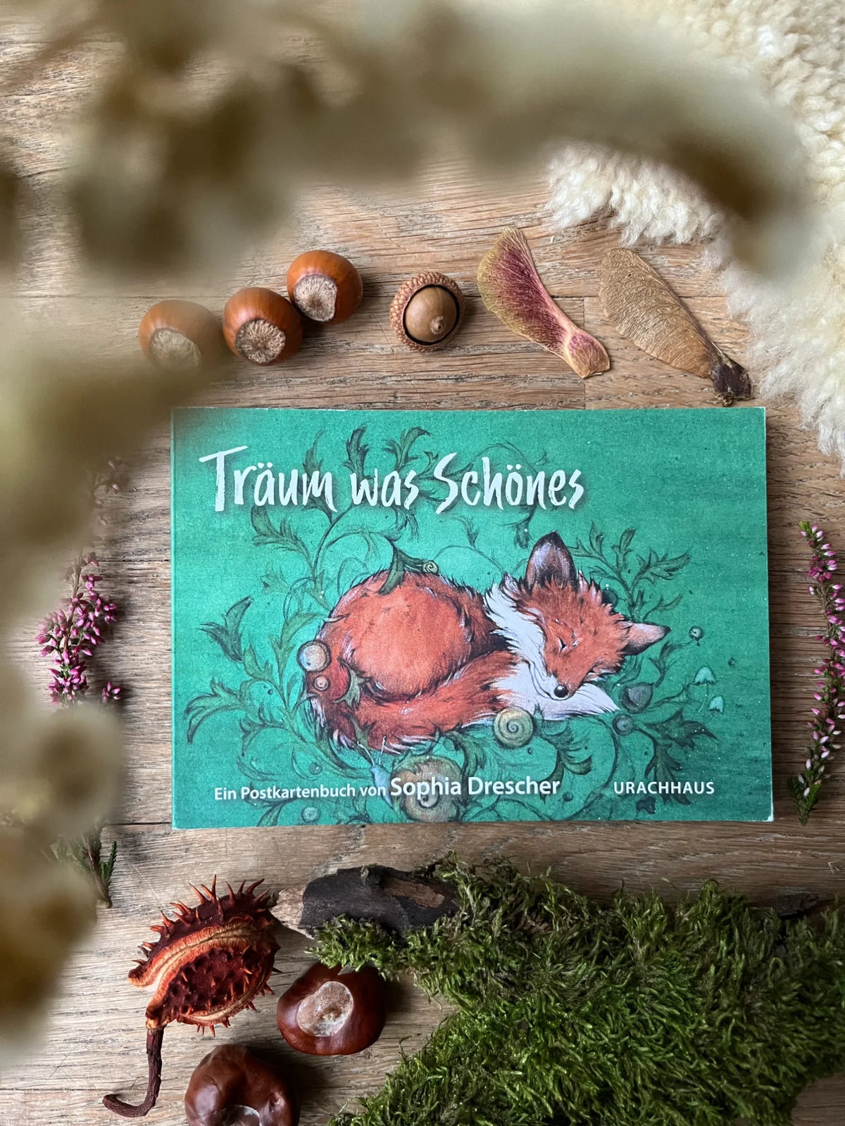 Postkartenbuch Träum was Schönes von Daniela Drescher, Titelbild