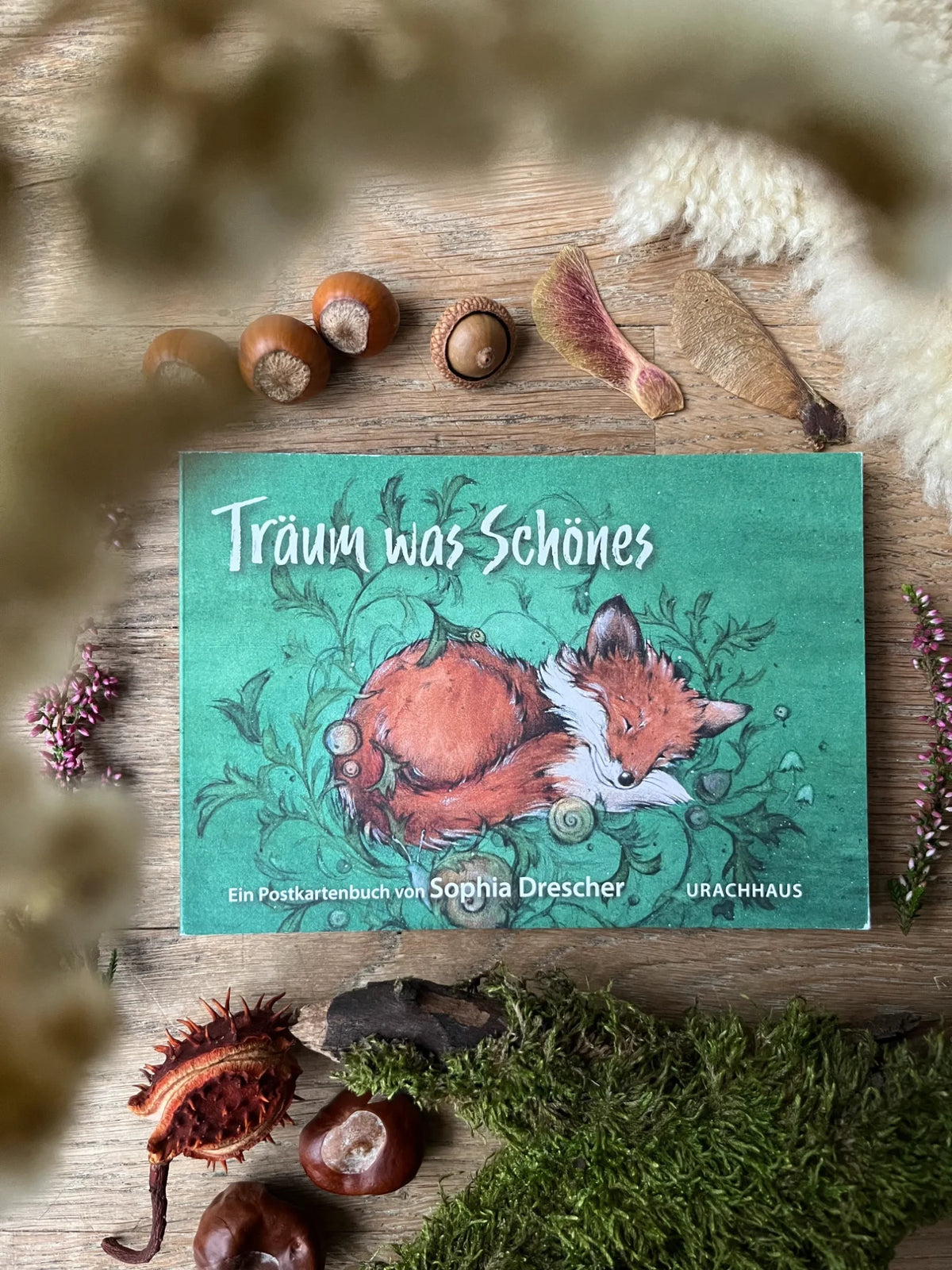 Postkartenbuch Träum was Schönes von Daniela Drescher, Kartenmotiv
