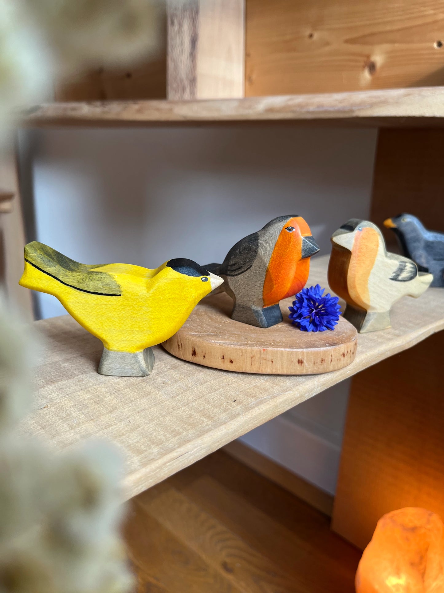 HolzWald Rotkehlchen