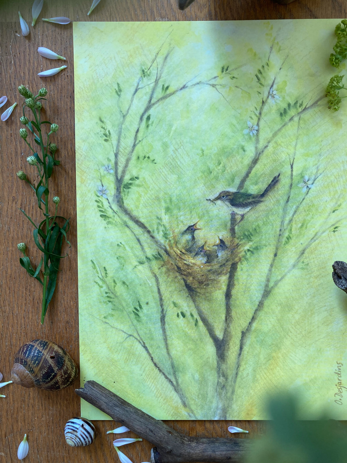 4er Kunstdruck-Set Tiere von Ode Desjardins A5, Foto