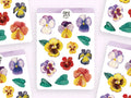 Stickerbogen Stiefmütterchen von Wild Pencil Studio